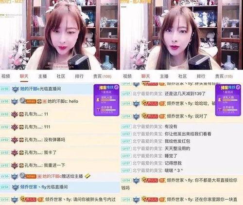 胡桃爆料主播视频大全下载,主播视频大全下载全解析